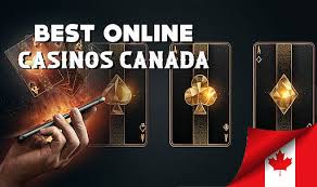 Best Live Casinos Online Experience Real Gaming from Home Best Live Casinos Online Experience Real Gaming from Home